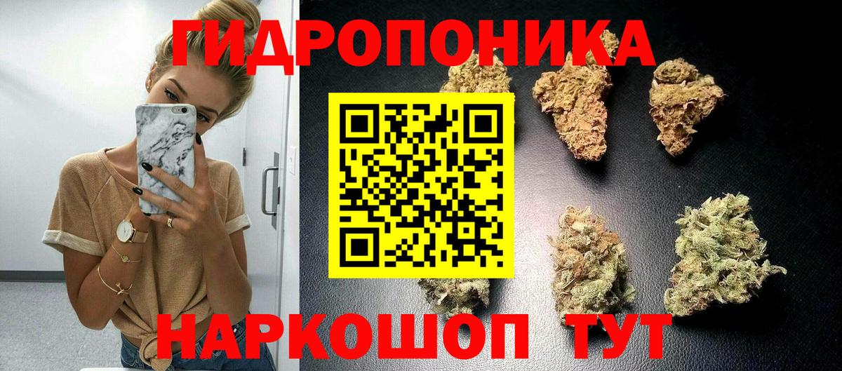 Кыштым  Канабис Bruce Banner  Вход с VPN  Канабис индика 